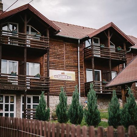 Silver Villa BaileTusnad Exteriör bild