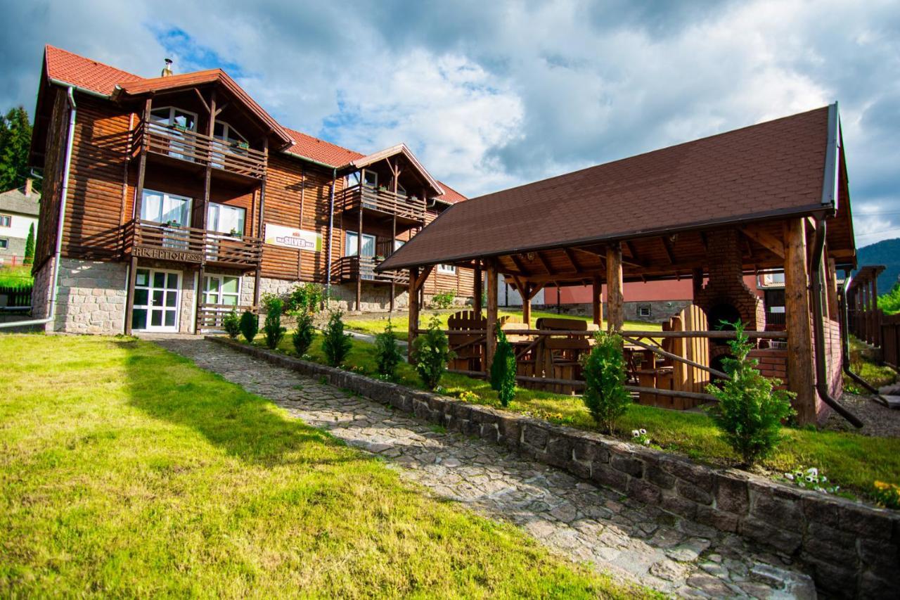 Silver Villa BaileTusnad Exteriör bild