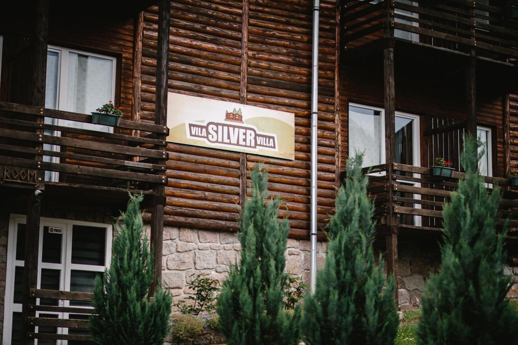 Silver Villa BaileTusnad Exteriör bild
