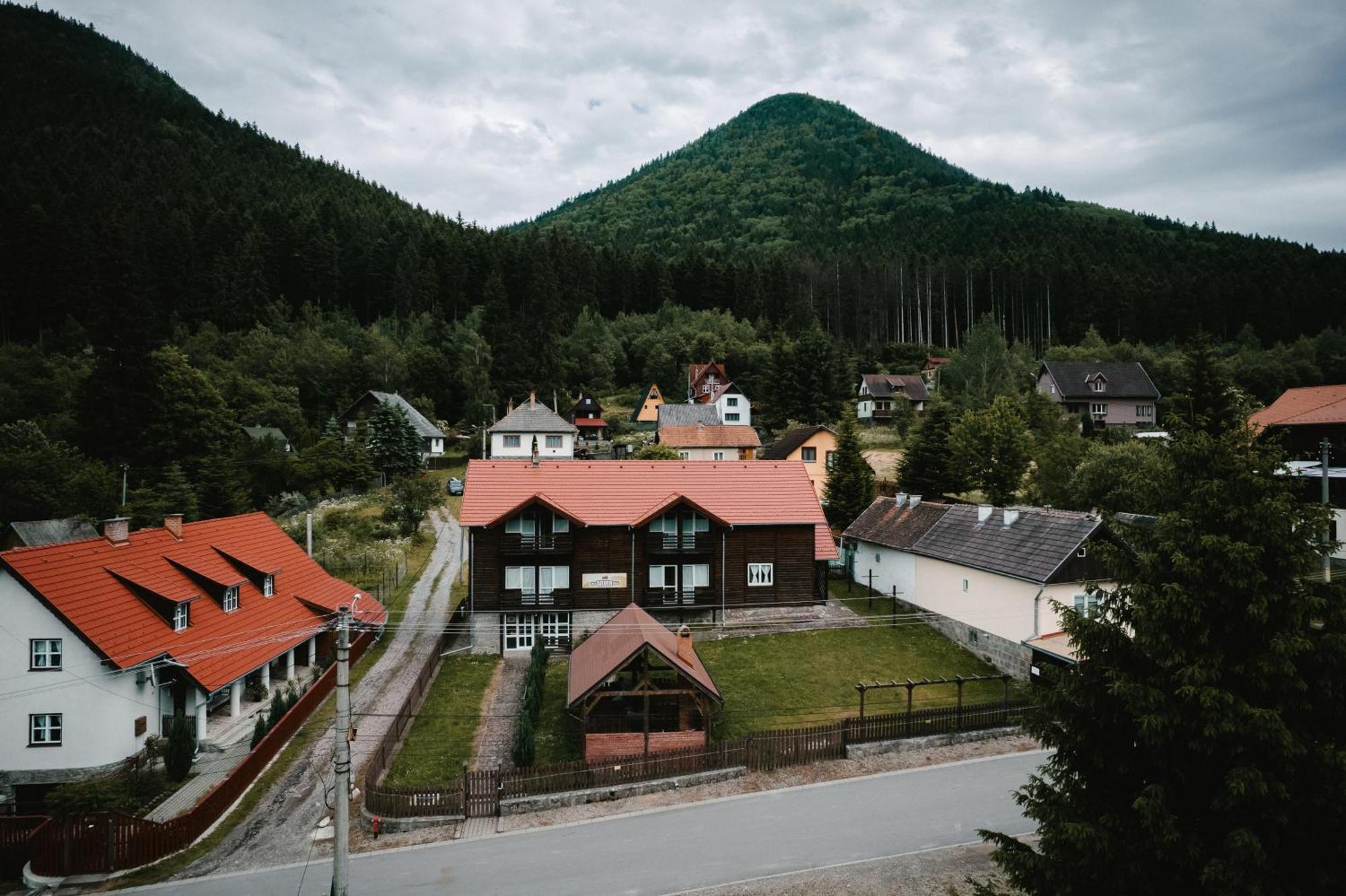 Silver Villa BaileTusnad Exteriör bild